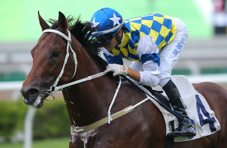 Computer Patch salutes at Sha Tin two weeks ago. Photos: Kenneth Chan