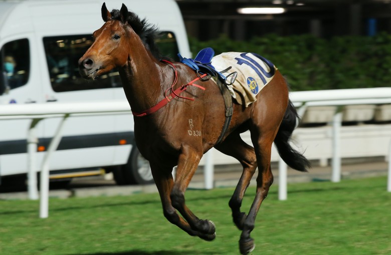 Matthew Poon Suffers Chest Injury In Scary Fall At Happy Valley Hk Racing South China Morning Post