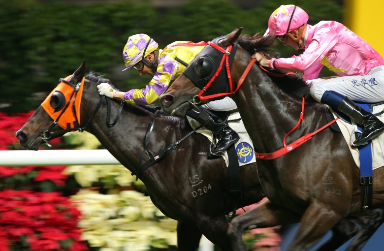 Joao Moreira drives Ready Conqueror to victory at Happy Valley on Wednesday night. Photos: Kenneth Chan