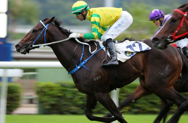 Sky Darci wins at Sha Tin under jockey Joao Moreira in November. Photos: Kenneth Chan
