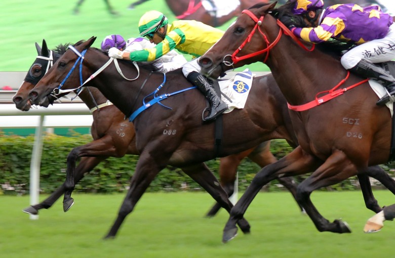 Sky Darci (yellow silks) wins the Class One Chevalier Cup at Sha Tin in November. Photos: Kenneth Chan