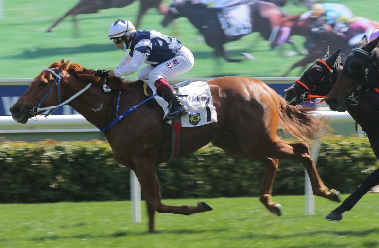 The Rock delivers at Sha Tin on Saturday. Photos: Kenneth Chan