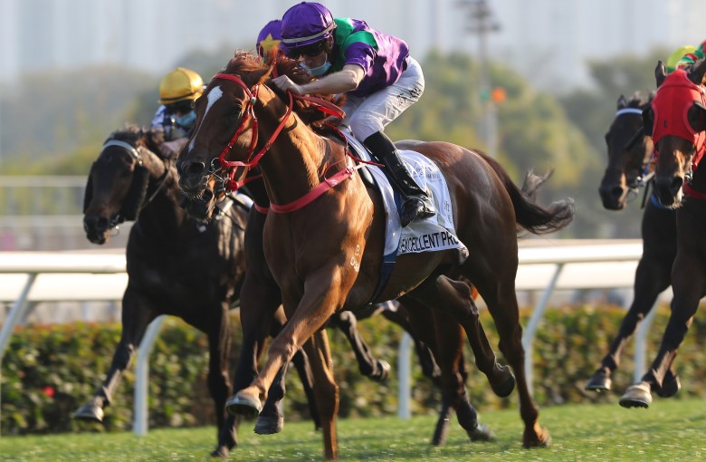 Excellent Proposal wins the Classic Mile in January. Photos: Kenneth Chan