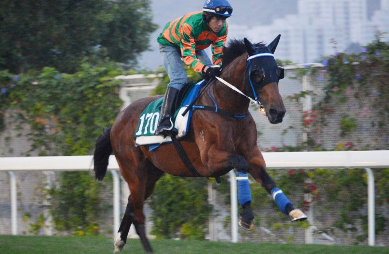 Rocket Spade gallops at Sha Tin. Photo: Kenneth Chan