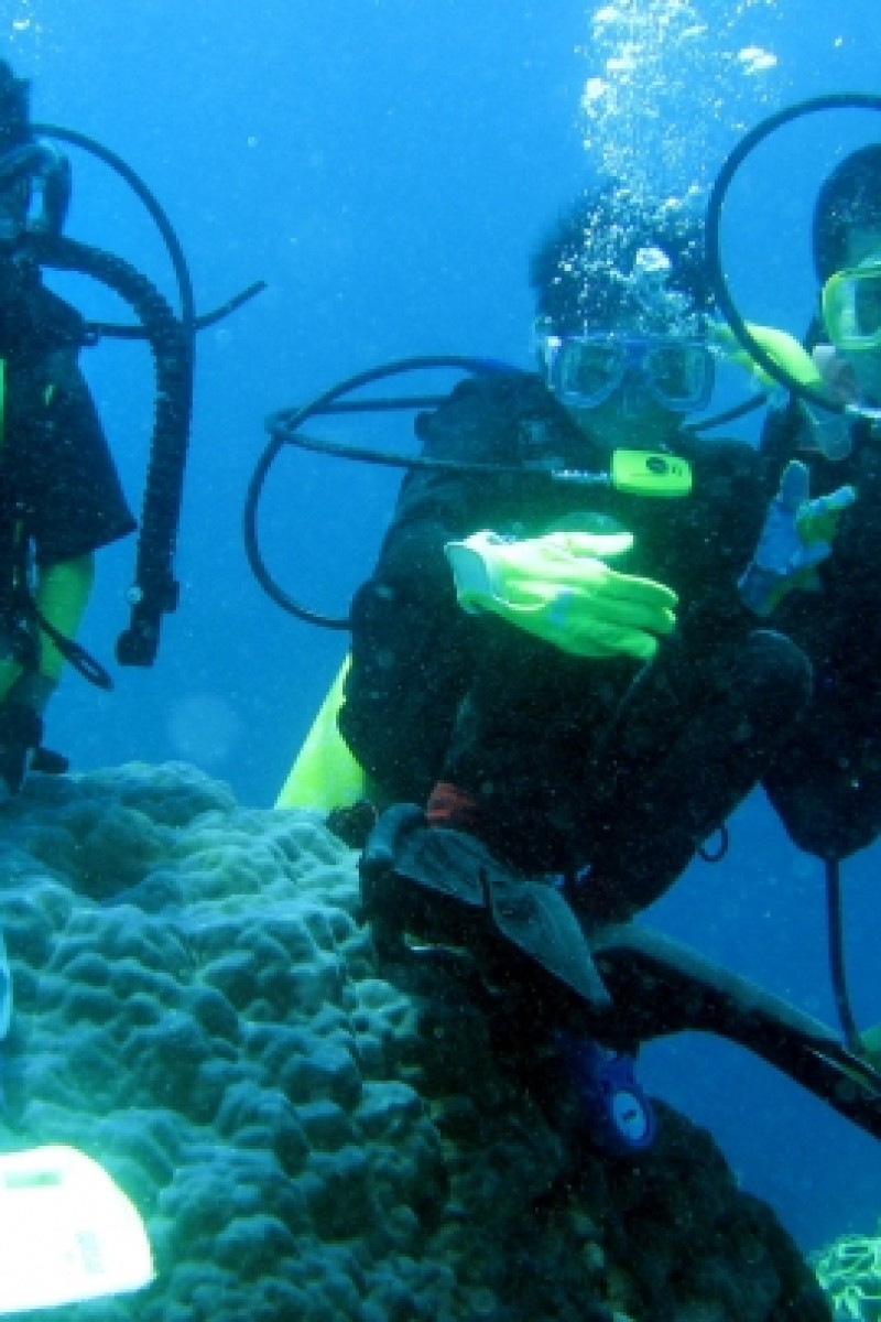 PALETTE 800 x 1200-Divers