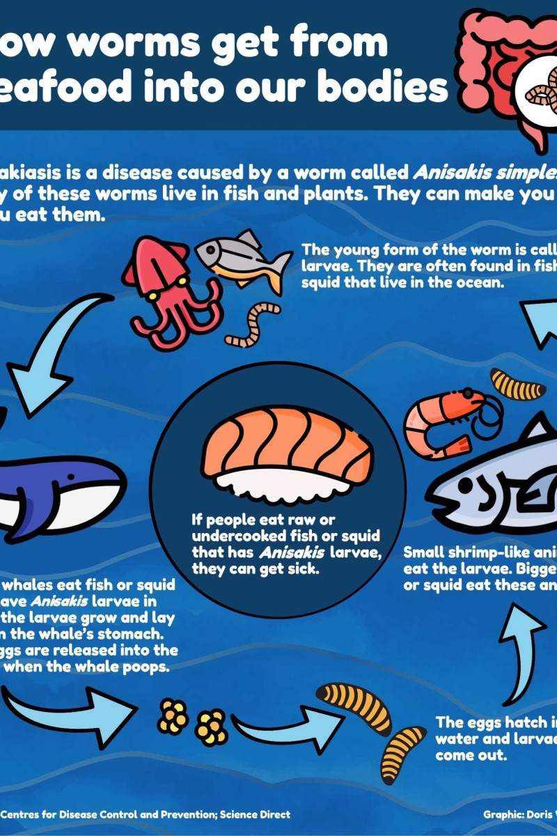 How do parasitic worms get in seafood? Here's what you need to know