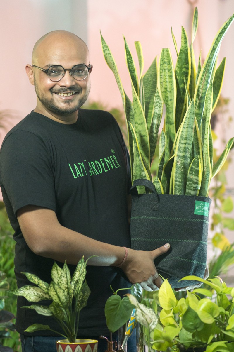 Bloom amid Covid gloom: Home gardening fills up lockdown days : The Tribune  India