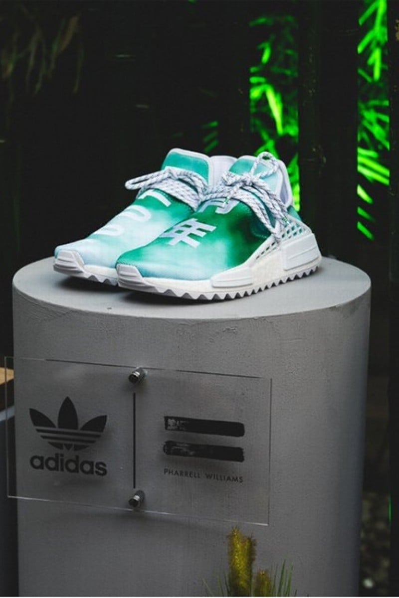 Adidas pharrell china outlet vector