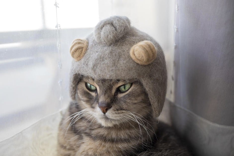 Japanese photographer shows off feline fur creations South China