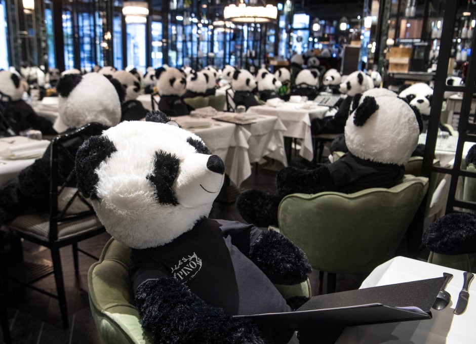 stuffed pandas