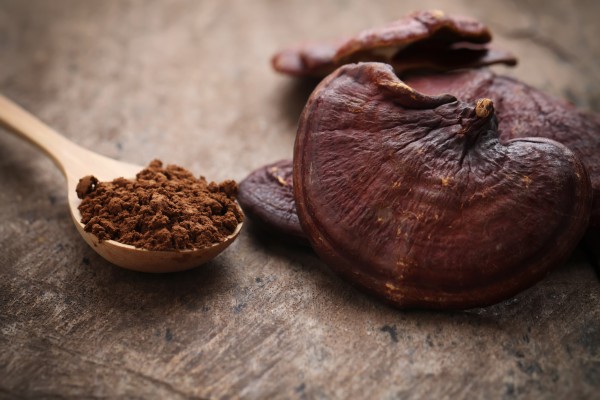 Reishi mushrooms - known as lingzhi in China - are a form of adaptogen, plant-based substances used in traditional medicine and set to become a trend in wellness in a new age of anxiety. Photo: Shutterstock