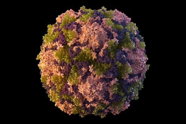 An illustration made available by the US Centres for Disease Control and Prevention depicts a poliovirus particle. Image: CDC via AP