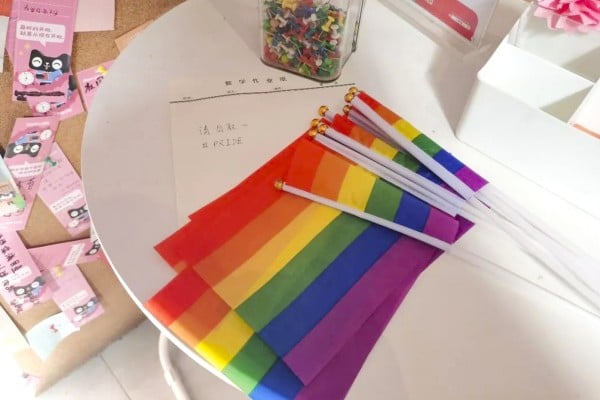 Two Tsinghua University students were disciplined for leaving some rainbow flags in public areas on campus. The women have now filed a lawsuit against China’s Ministry of Education to have the punishment reviewed. Photo: Weibo