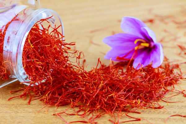 Saffron threads spill from a jar. The most expensive spice in the world is more than just a fancy food flavouring; it provides many health benefits, too. Photo: Shutterstock