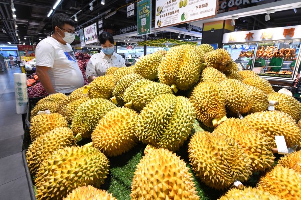 The durian harvest in Hainan province this month may account for only about 0.005 per cent of all durian eaten in China this year. Photo: Getty Images