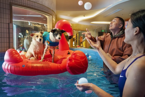 Pet owners Li Guangyu and Pixie Lim take their dogs for a swim at a pet centre in Shanghai. Li says he does not want the responsibility of having children. As China’s birth rate drops amid soaring childcare costs, more people are choosing careers, pets and partying over marriage and children. Photo: Justin Jin