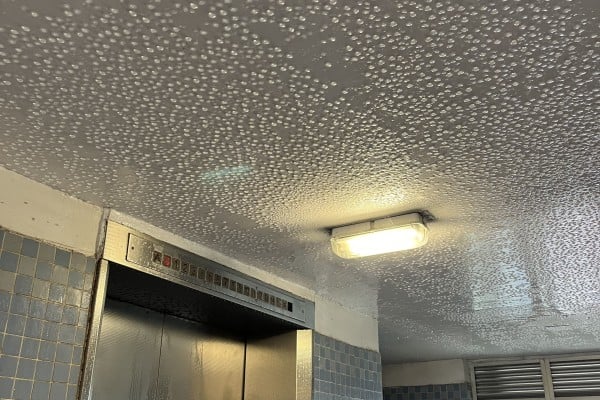 Moisture build-up on the ceiling in the entrance to a block of flats in Tsing Yi. Photo: Handout