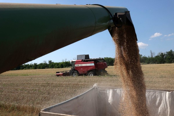 Combines harvest wheat at a farm near Kramatorsk, in the Donetsk region, on August 4. Russia’s conflict with Ukraine, the “bread basket” of Europe, has affected global supplies, driven up prices and worsened food insecurity. Photo: AFP