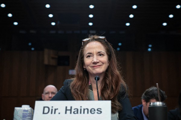 US director of national intelligence Avril Haines at the Senate Intelligence Committee on Wednesday. Photo: Getty Images via AFP