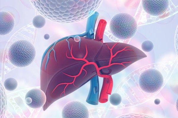 The findings of a study led by Xiamen University have put a spotlight on a type of bile known as LCA that can produce effects resulting in regeneration in animals. Image: Shutterstock