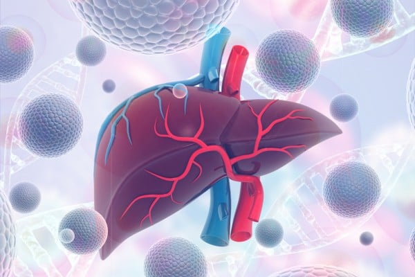 The findings of a study led by Xiamen University have put a spotlight on a type of bile known as LCA that can produce effects resulting in regeneration in animals. Image: Shutterstock The findings of a study led by Xiamen University have put a spotlight on a type of bile known as LCA that can produce effects resulting in regeneration in animals. Image: Shutterstock