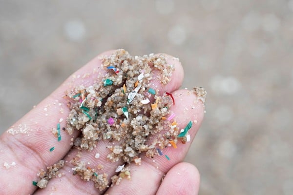 Microplastics are being found in human livers and brains in larger quantities than before. Photo: Shutterstock Microplastics are being found in human livers and brains in larger quantities than before. Photo: Shutterstock