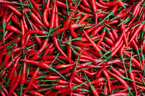 Red chillies. Photo: Shutterstock