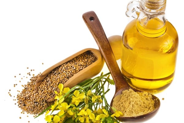 Mustard seeds are used in many cuisines. We suggest ways to make the most of them. Photo: Shutterstock Mustard seeds are used in many cuisines. We suggest ways to make the most of them. Photo: Shutterstock