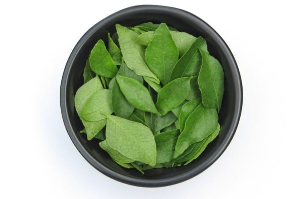 Curry leaf is a slightly bitter spice used in kitchens from India to Vietnam. Photo: Shutterstock Curry leaf is a slightly bitter spice used in kitchens from India to Vietnam. Photo: Shutterstock