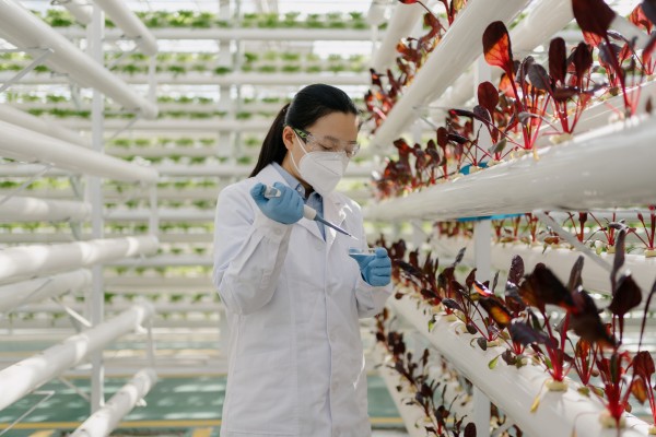 Shanghai’s new subsidy for recent mothers employed as researchers is intended to promote scientific innovation as well as an increase in birth rates. Photo: Getty Images Shanghai’s new subsidy for recent mothers employed as researchers is intended to promote scientific innovation as well as an increase in birth rates. Photo: Getty Images