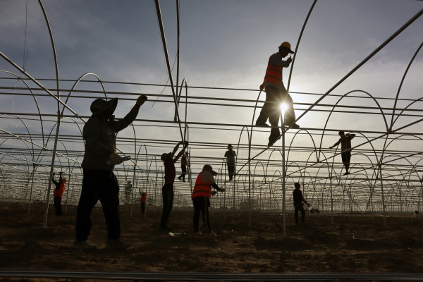 Farm workers in Xinjiang, where the regional government has acknowledged the impact of US sanctions for the first time. Photo: Getty Images
