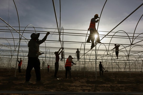Farm workers in Xinjiang, where the regional government has acknowledged the impact of US sanctions for the first time. Photo: Getty Images
Farm workers in Xinjiang, where the regional government has acknowledged the impact of US sanctions for the first time. Photo: Getty Images