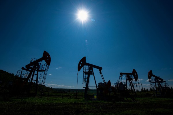 Oil pump jacks are seen outside Almetyevsk, in the Republic of Tatarstan, Russia, on July 14. Photo: Reuters