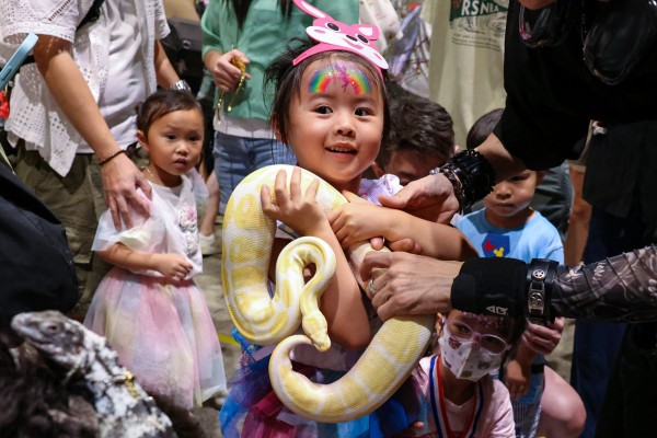 Snakes grab the attention of young visitors during the Premium Pet Supplies Expo 2025 at the Hong Kong Convention and Exhibition Centre on June 7, 2025. How’s your luck in the Year of the Snake’s 10th month? Feng shui master Andrew Kwan gives his predictions for all 12 Chinese zodiac animal signs. Photo: Nora Tam