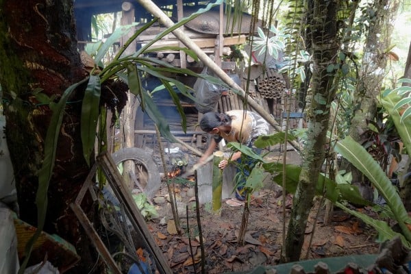 A Sarawak native jungle cooking. Photo: courtesy KINO magazine A Sarawak native jungle cooking. Photo: courtesy KINO magazine