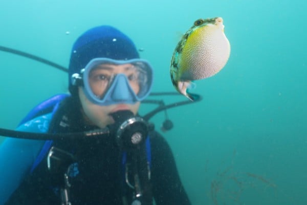 Diver and environmentalist Hidy Yu in a still from the Hong Kong documentary Never Too Late. Photo: Edko Films