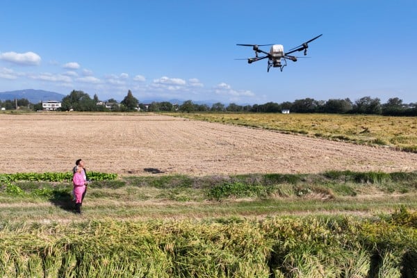 Dai Shuying operates a plant protection drone under the guidance of her grandson Wang Tiantian in east China’s Anhui province. Photo: Xinhua Dai Shuying operates a plant protection drone under the guidance of her grandson Wang Tiantian in east China’s Anhui province. Photo: Xinhua