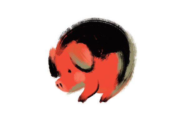 Will the Year of the Horse 2026 be a lucky one for Pigs? Fortune-teller Tong Pik-ha shares her predictions for wealth, relationships and health. Illustration: Victor Sanjinez
Will the Year of the Horse 2026 be a lucky one for Pigs? Fortune-teller Tong Pik-ha shares her predictions for wealth, relationships and health. Illustration: Victor Sanjinez