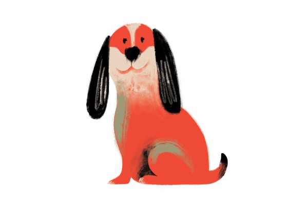 Will the Year of the Horse 2026 be a lucky one for Dogs? Fortune-teller Tong Pik-ha shares her predictions for wealth, relationships and health. Illustration: Victor Sanjinez