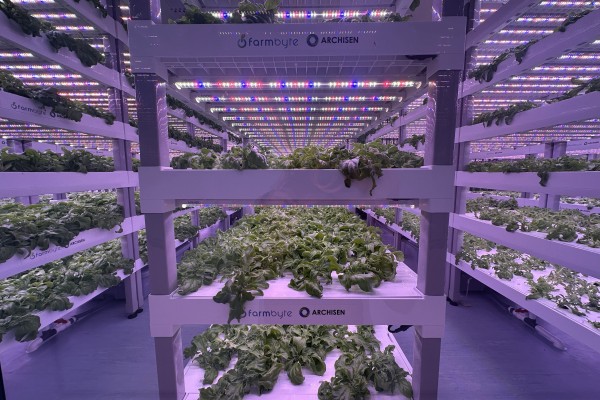 Singaporean urban farming company Archisen is expanding its operations in the Johor-Singapore Special Economic Zone. Photo: Archisen
