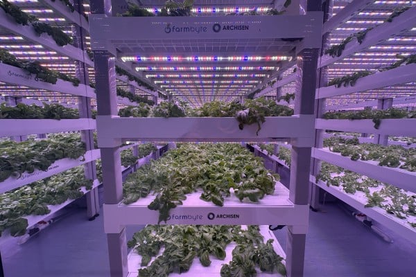 Singaporean urban farming company Archisen is expanding its operations in the Johor-Singapore Special Economic Zone. Photo: Archisen Singaporean urban farming company Archisen is expanding its operations in the Johor-Singapore Special Economic Zone. Photo: Archisen