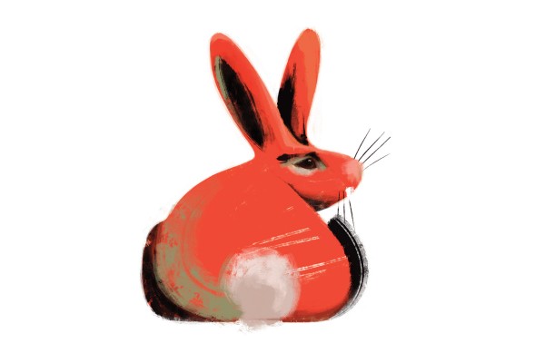 Will the Year of the Horse 2026 be a lucky one for Rabbits? Fortune-teller Tong Pik-ha shares her predictions for wealth, relationships and health. Illustration: Victor Sanjinez Will the Year of the Horse 2026 be a lucky one for Rabbits? Fortune-teller Tong Pik-ha shares her predictions for wealth, relationships and health. Illustration: Victor Sanjinez