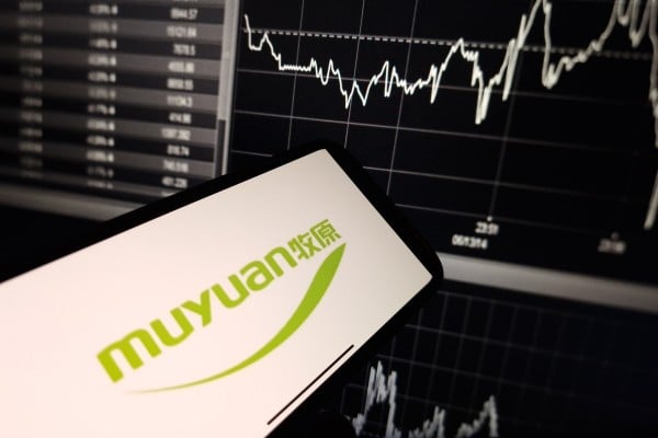 Muyuan Foods, the world’s largest hog firm, plans to sell about 274 million new shares at up to HK$39 each. Photo: Shutterstock Muyuan Foods, the world’s largest hog firm, plans to sell about 274 million new shares at up to HK$39 each. Photo: Shutterstock