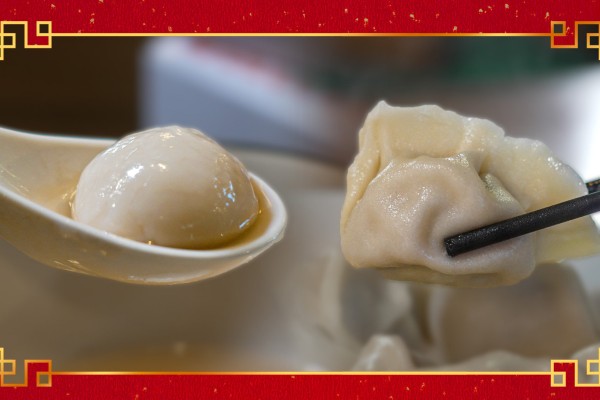 Southern China tang yuan dumpling and northern China jiaozi dumpling Southern China tang yuan dumpling and northern China jiaozi dumpling