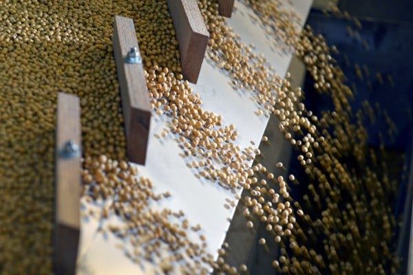 China has committed to buying at least 25 million tonnes of US soybeans annually through 2028, according to Washington. Photo: Reuters