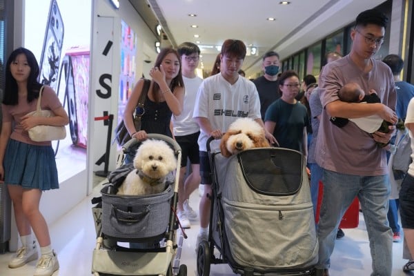 People shop with their pets in New Town Plaza in Sha Tin, on September 21, 2025. Photo: Sam Tsang People shop with their pets in New Town Plaza in Sha Tin, on September 21, 2025. Photo: Sam Tsang