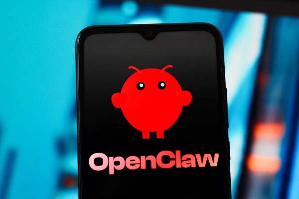 OpenClaw has been dubbed “raise the lobster” by Chinese consumers. Photo: Shutterstock