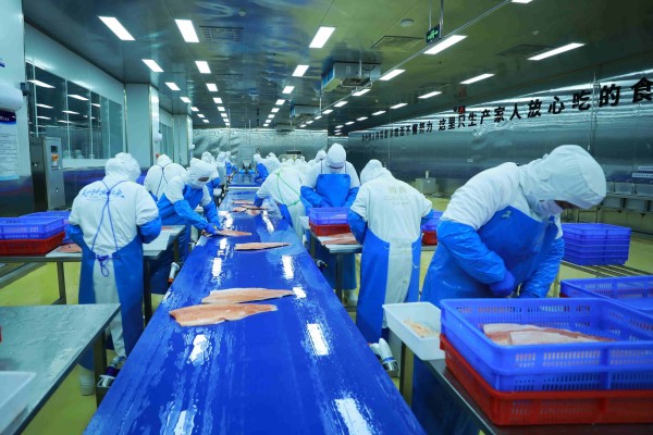 Workers process “Xinjiang salmon” at Xinjiang Tianyun Organic Agriculture’s processing plant in Yili, Xinjiang. Photo: Handout