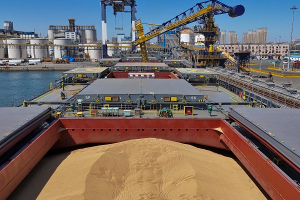 Imported soybeans from Brazil are seen in a cargo vessel at a port in Yantai, in China’s eastern Shandong province. Photo: AFP