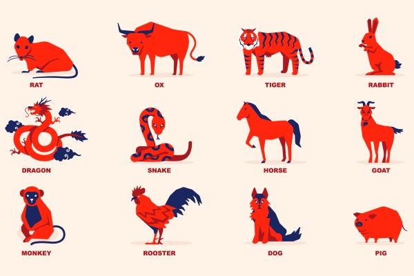 How’s your luck in the Year of the Horse 2026’s fifth month? Feng shui master Andrew Kwan gives his predictions for all 12 Chinese zodiac animal signs. Photo: Shutterstock